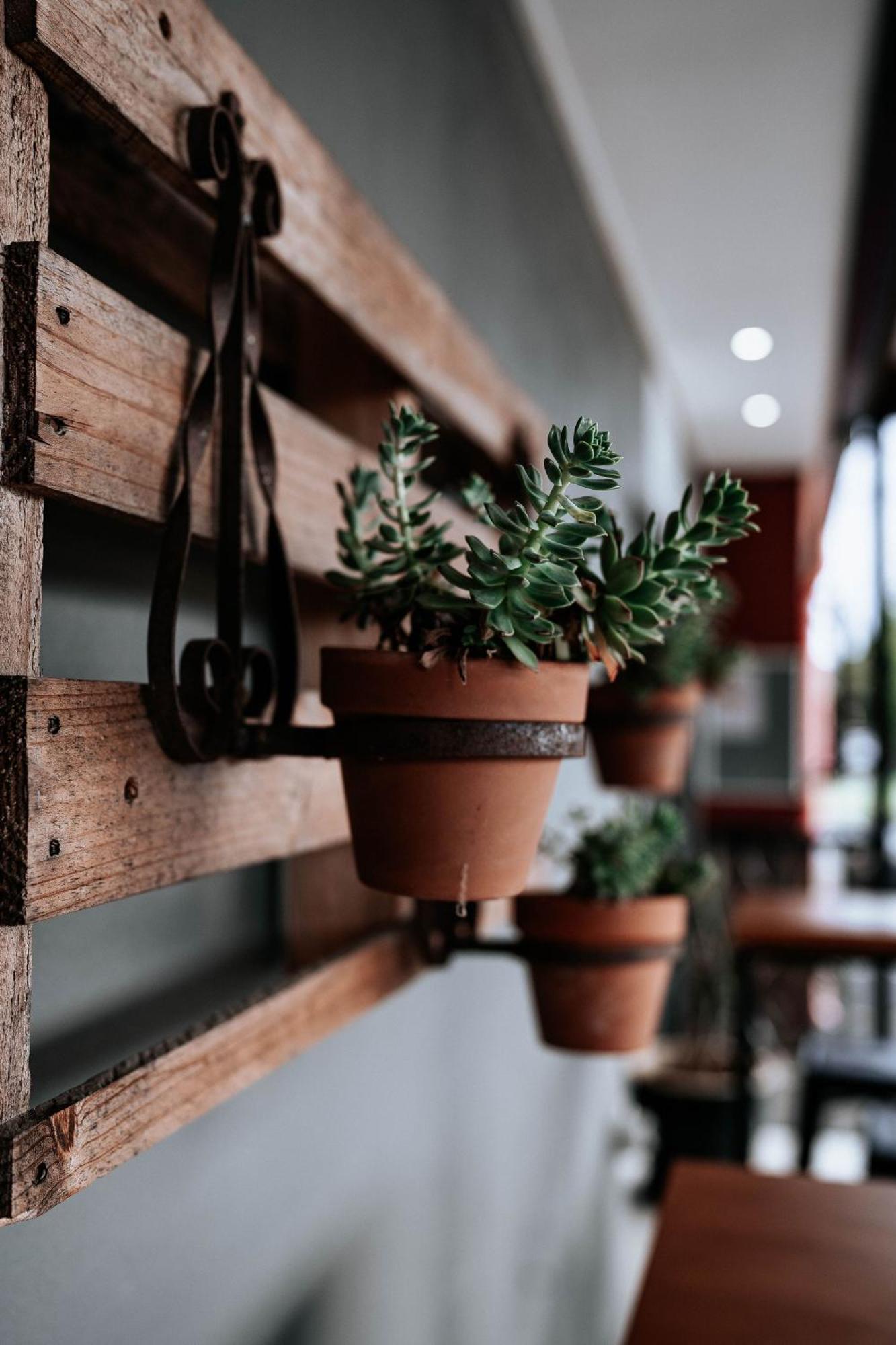 High Street Motor Inn Stanthorpe Εξωτερικό φωτογραφία